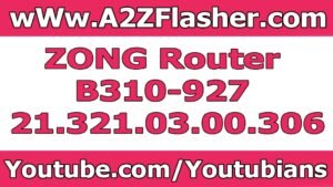 ZONG B310-927 Router SW Version 21.321.03.00.306